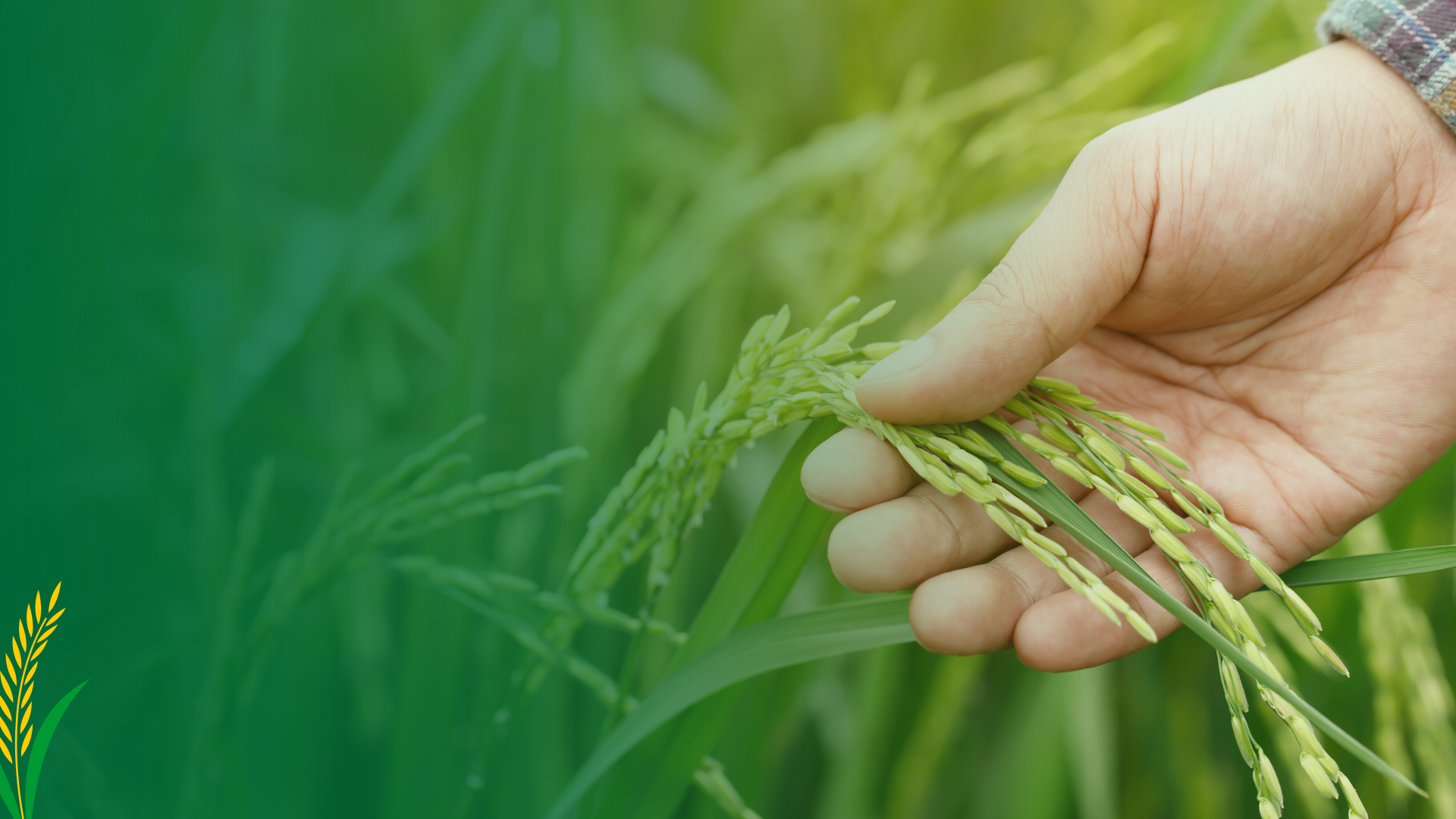 RaithuDhanya - Banner 1