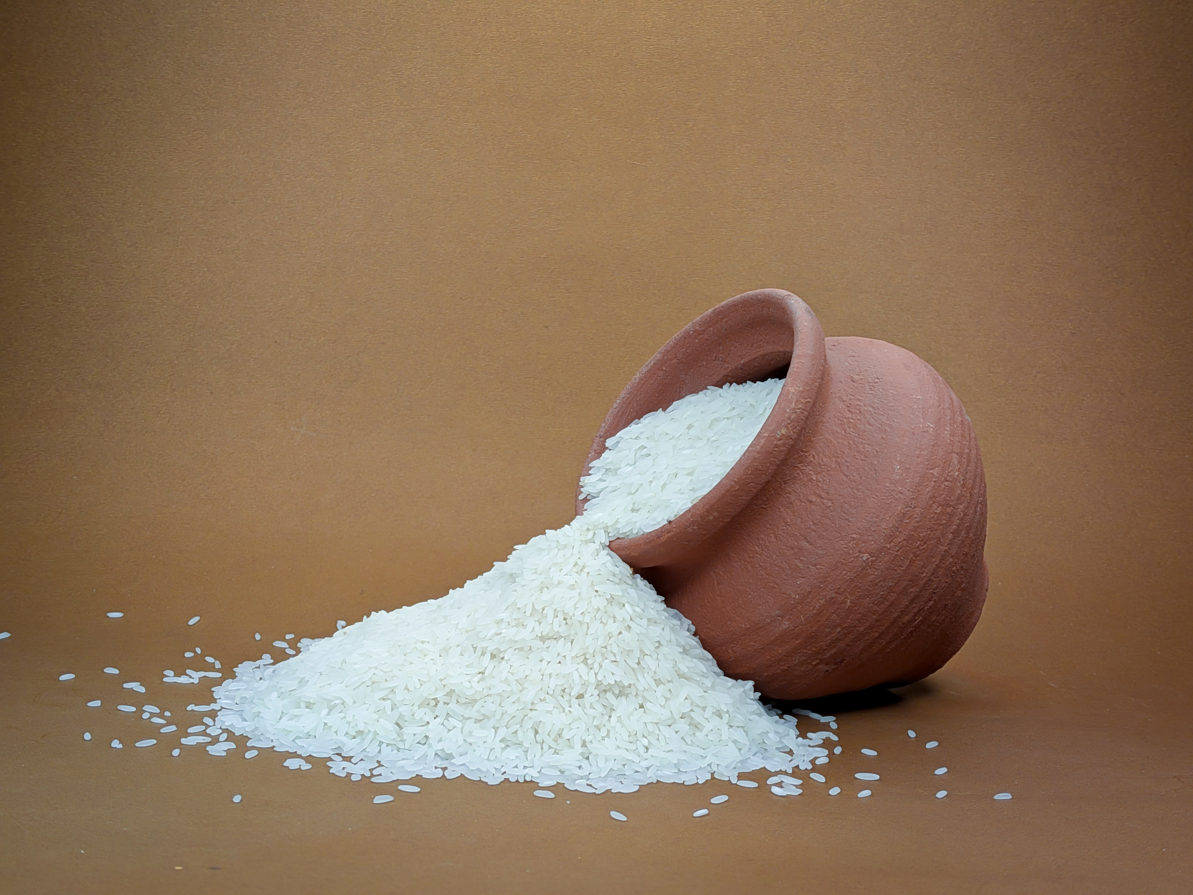 RNR 15048 Telangana Sona